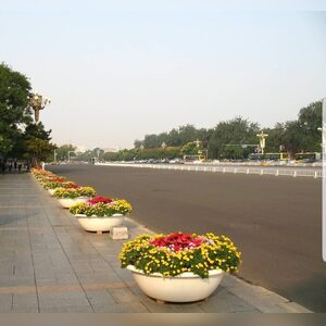 steve52t, online dating profile photo