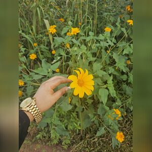 lmoi, online dating profile photo