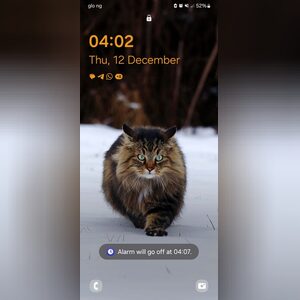 realamgo, online dating profile photo