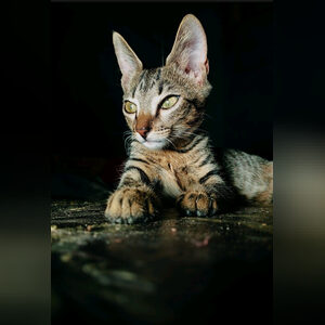 nini_24, online dating profile photo