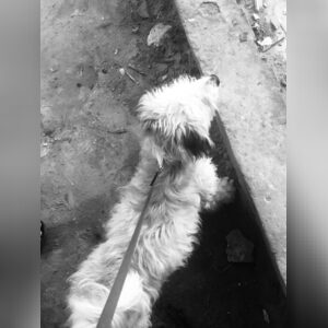 bigsg07, online dating profile photo