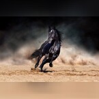 hamzakam, online dating photo