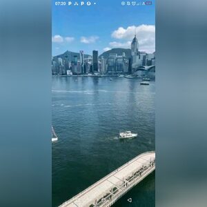 softie, online dating profile photo