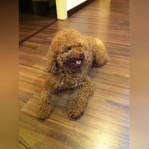 blessed321, online dating profile photo