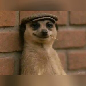 ahisham, online dating profile photo