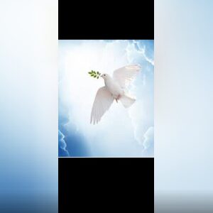 olatoks1, online dating profile photo