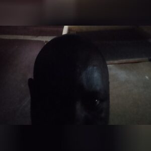 techwise, online dating profile photo