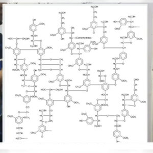 hopefoun, online dating profile photo