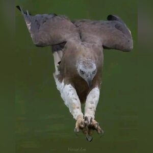 martinnk, online dating profile photo