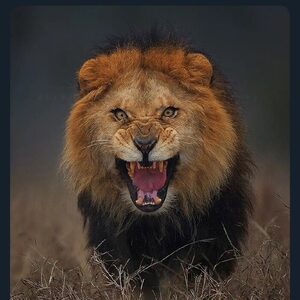 awosteph, online dating profile photo