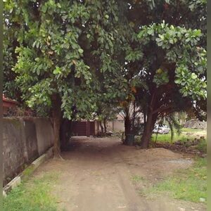 ao758360, online dating profile photo