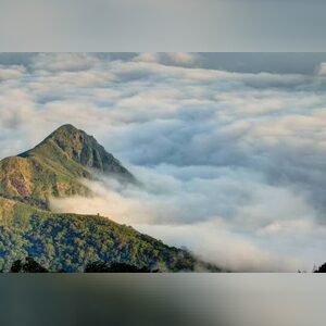 acashash, online dating profile photo