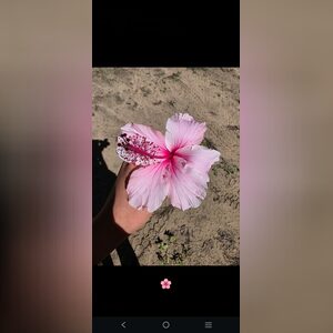 maxfield, online dating profile photo