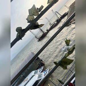 donaldkh, online dating profile photo