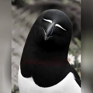 silascom, online dating profile photo