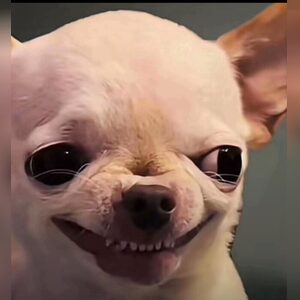 emmaflp, online dating profile photo