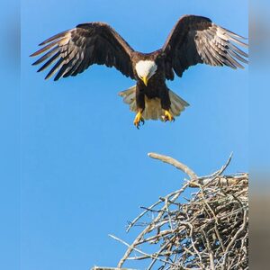 bibhndrx7, online dating profile photo