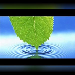 letstalk, online dating profile photo