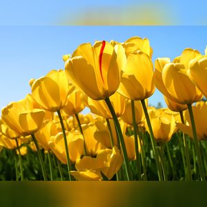 sweety505, online dating profile photo