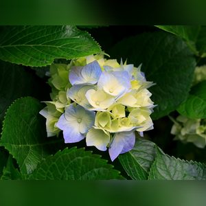 kodilistic, online dating profile photo