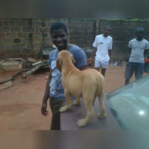 sozoo, online dating profile photo