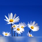 flairplay01, online dating photo
